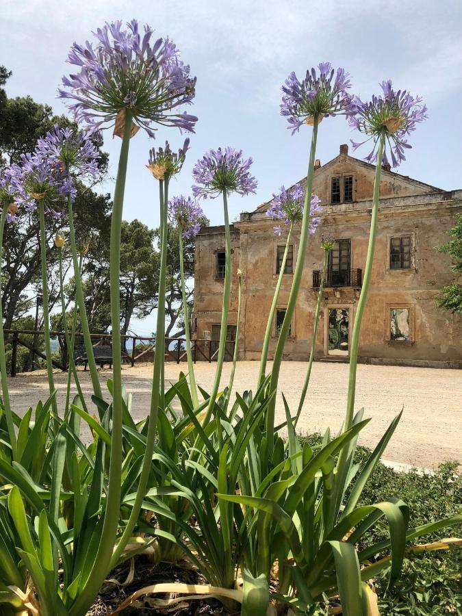 Aragoniteazzurra Casa Vacanza Gonnesa Exterior photo
